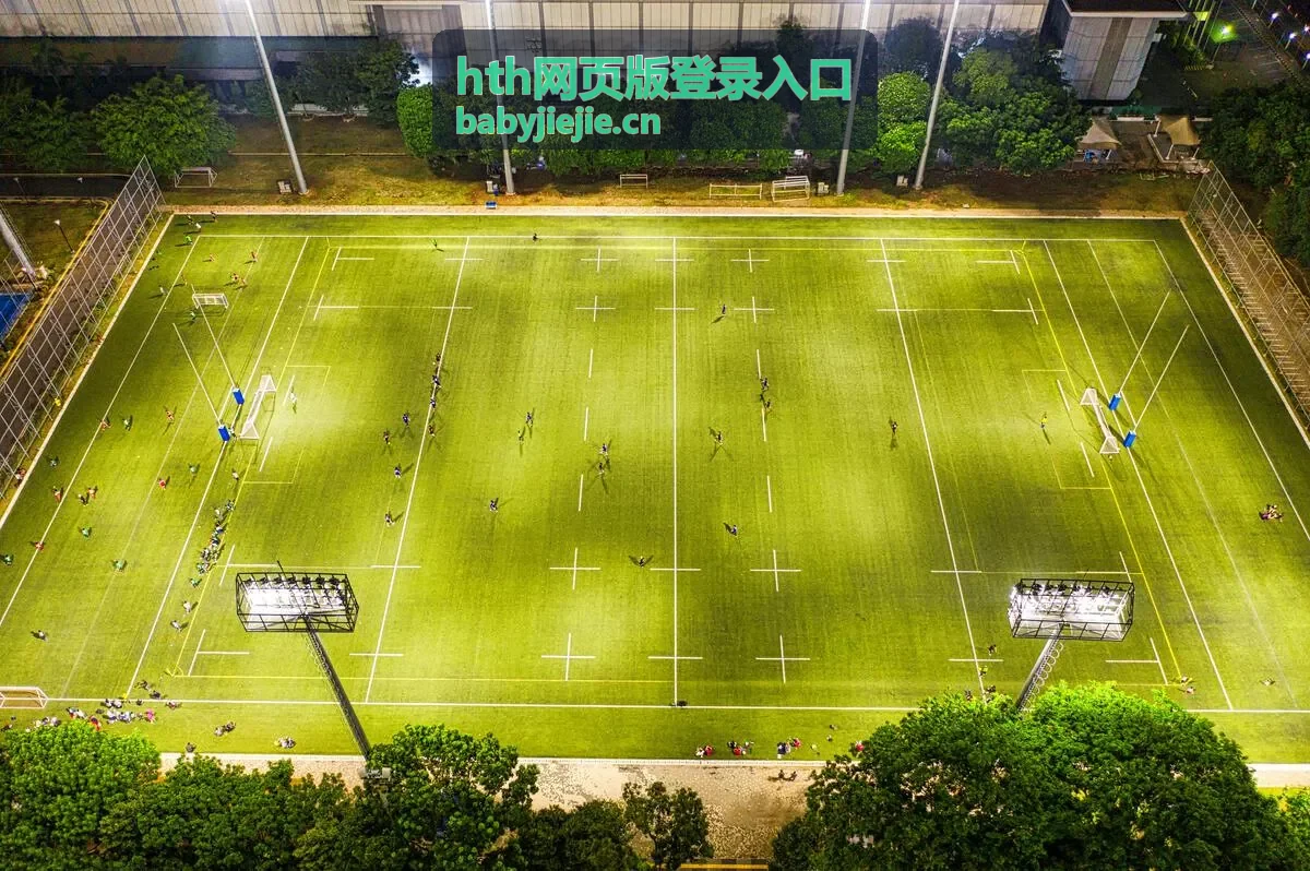 hth网页版登录入口安全验证环节步骤
